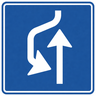 RVV verkeersbord L21 | Informatiebord  | Uitwijkplaats