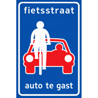 RVV verkeersbord L51 | Informatiebord  | Fietsstraat