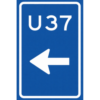 RVV verkeersbord BW501L | Uitvalsroute | 37 - links