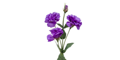 Zijden bloemen (alle)