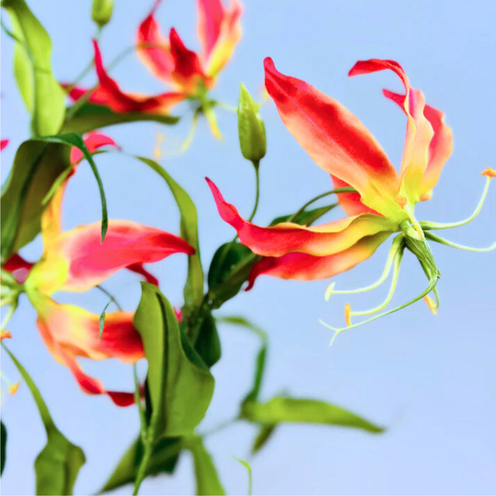 Zijden boeket "Garden of Paradise" | 70 cm