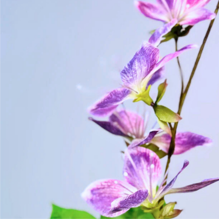 Zijden boeket "Leaves from the Vine" | 75cm