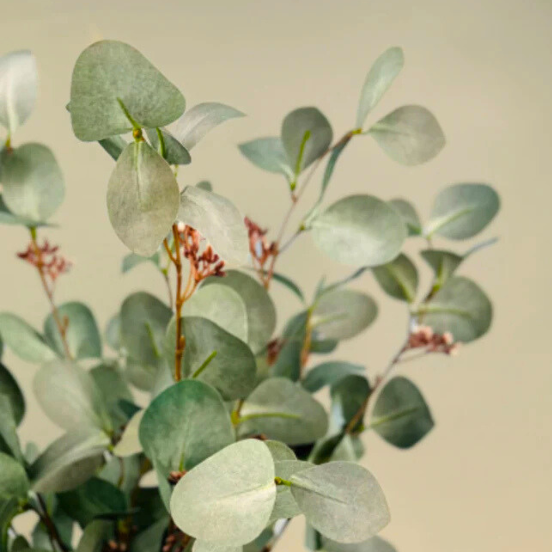 Zijden boeket "Euca love" | 70cm