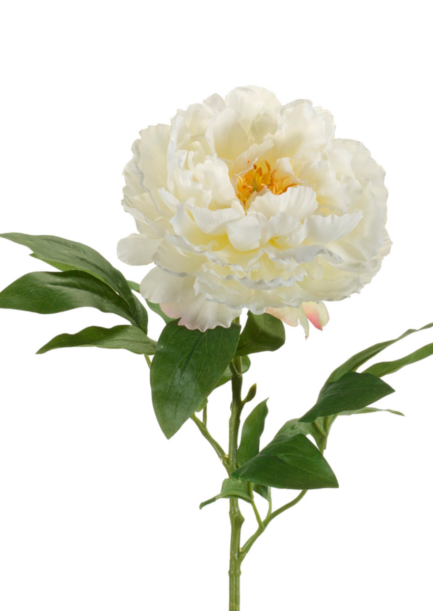 Zijden bloem "Peony" créme | 65cm