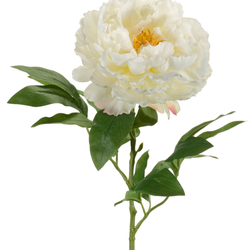 Zijden bloem "Peony" créme  | 65cm
