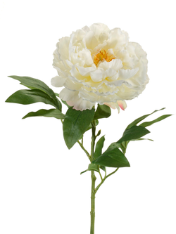 Zijden bloem "Peony" créme  | 65cm