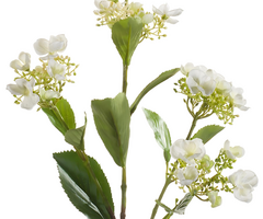 Zijden bloem "Hydrangea" créme | 75cm