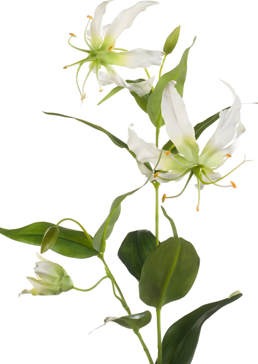 Zijden bloem "Gloriosa" créme | 75cm