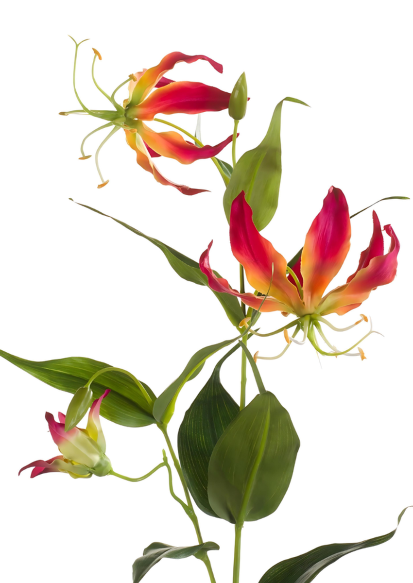 Zijden bloem "Gloriosa" geel | 75cm