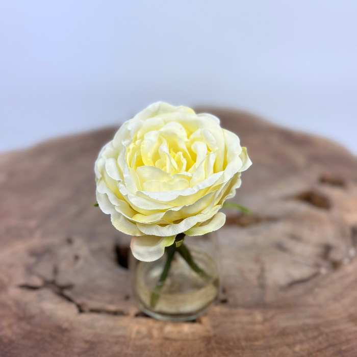 Zijden roos "wit" in vaasje | 11cm