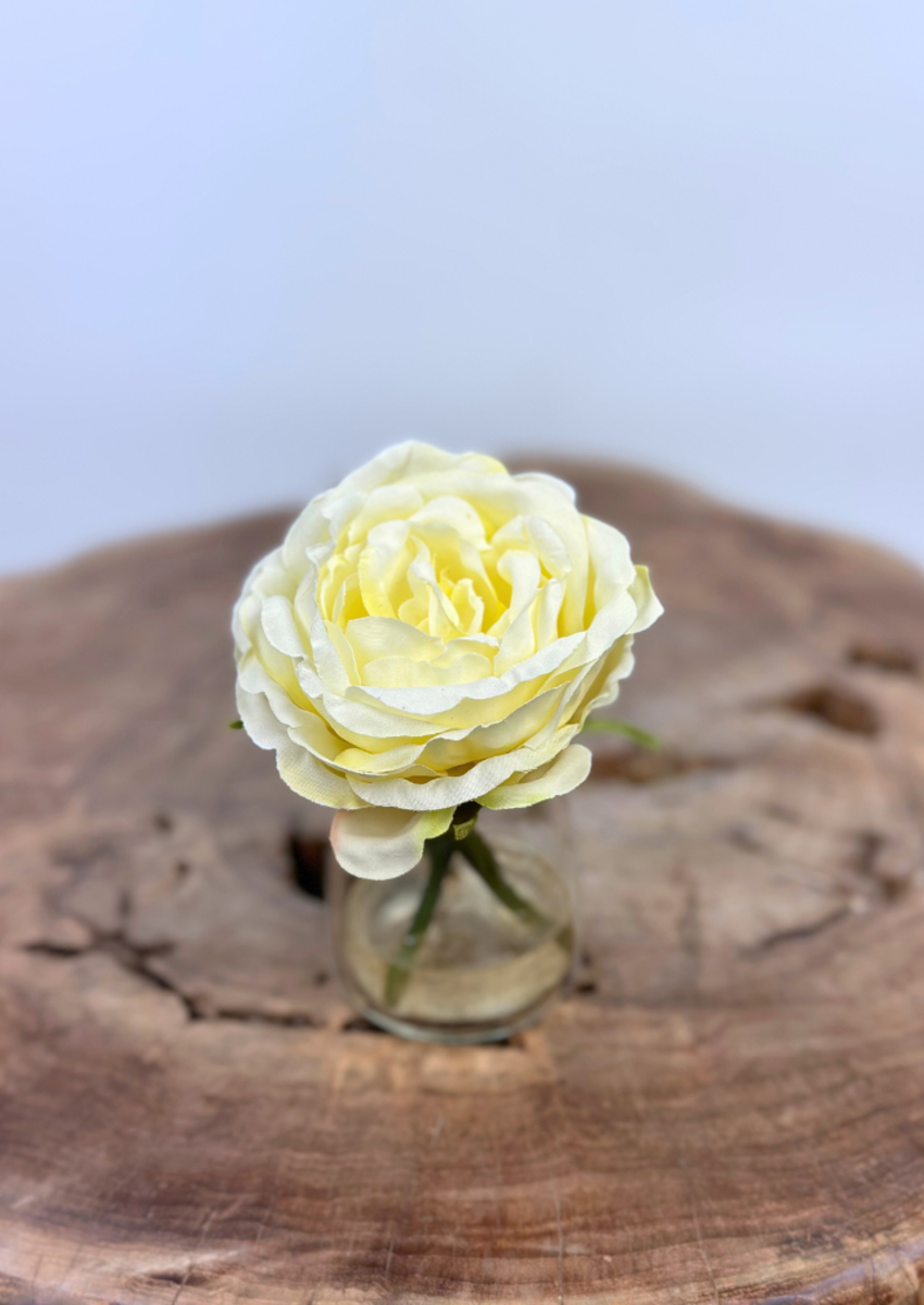 Zijden roos "wit" in vaasje | 11cm