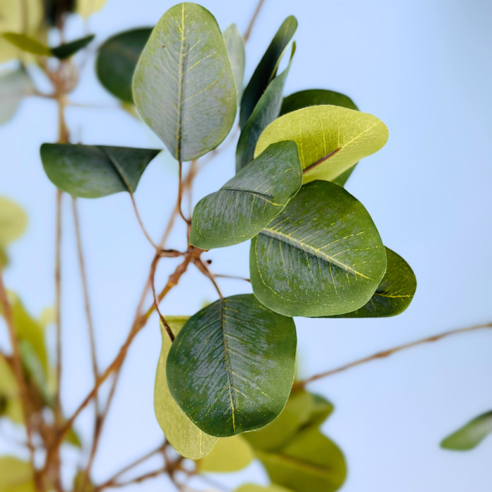 Zijden takken "Eucalyptus" - 3 stelen