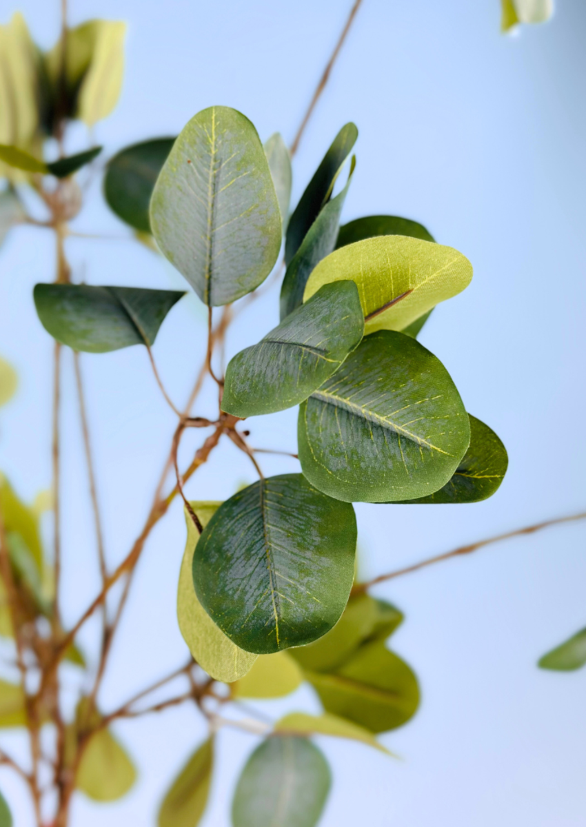 Zijden takken "Eucalyptus" - 3 stelen