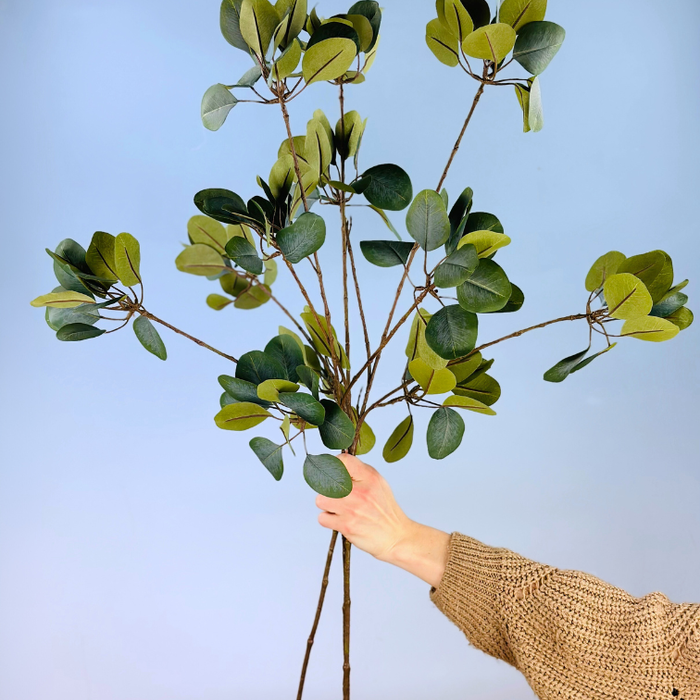 Zijden takken "Eucalyptus" - 3 stelen