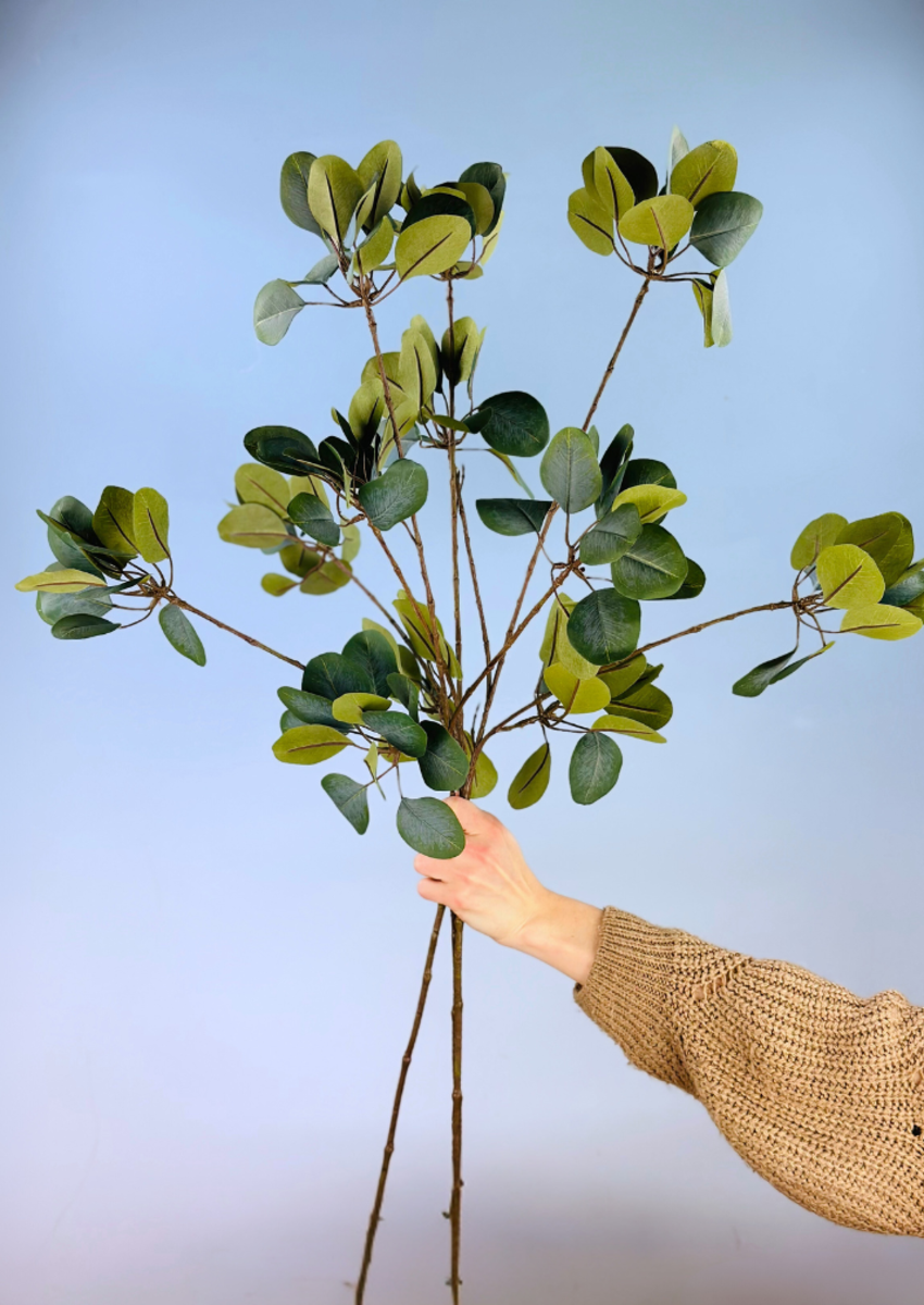 Zijden takken "Eucalyptus" - 3 stelen