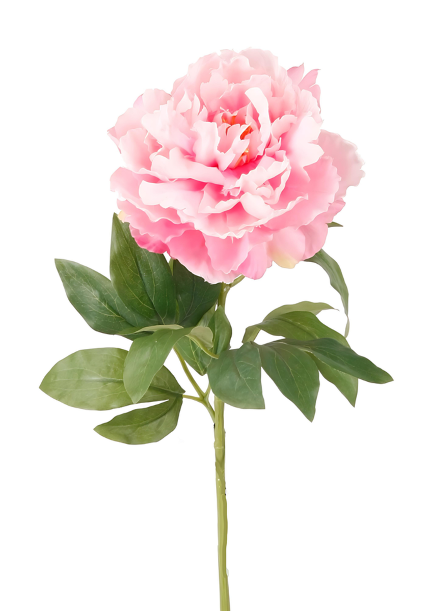 Zijden bloem "Peony" roze | 65cm