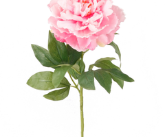 Zijden bloem "Peony" roze | 65cm