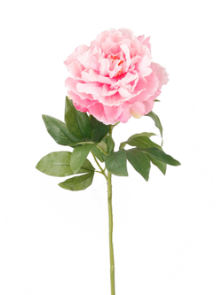 Zijden bloem "Peony" roze | 65cm