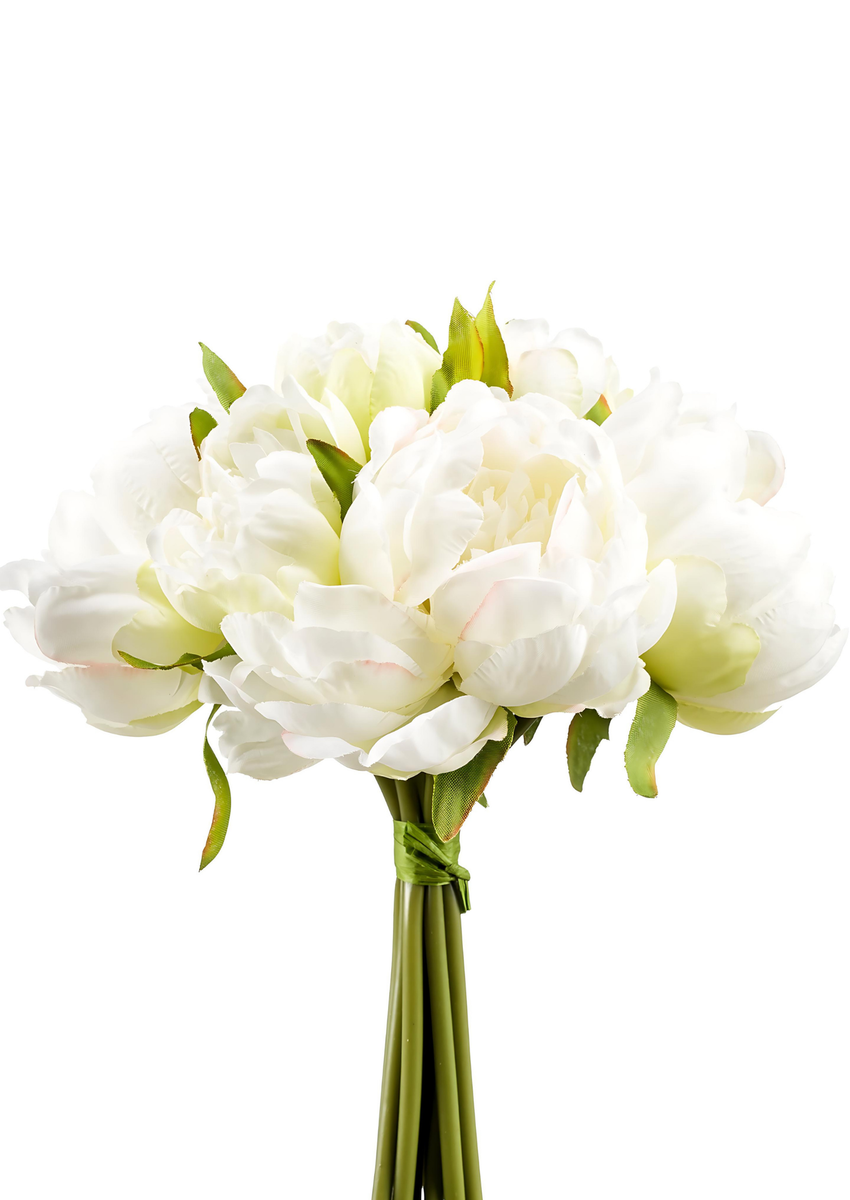 Zijden bloem "Peony" bos créme | 24cm