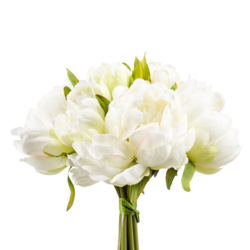 Zijden bloem "Peony" bos créme | 24cm