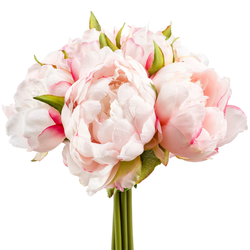 Zijden bloem "Peony" bos lichtroze | 24cm