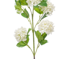 Zijden bloem "Viburnum" créme | 75cm