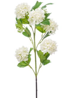 Zijden bloem "Viburnum" créme | 75cm