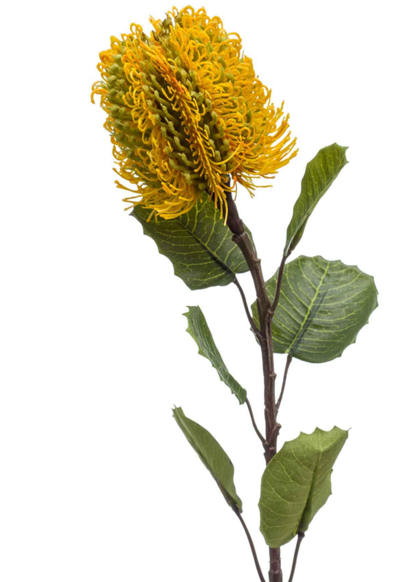 Zijden bloem "Banksia" geel | 57cm