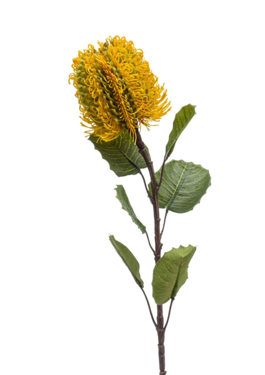 Zijden bloem "Banksia" geel | 57cm