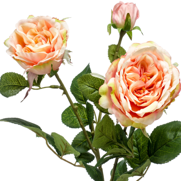 Zijden bloem "Rose" perzik / roze | 58cm