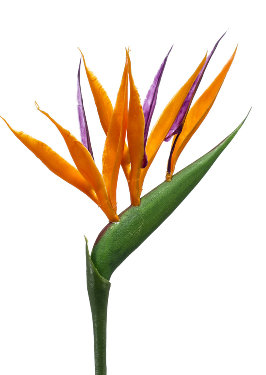 Zijden bloem "Strelitzia mini" oranje | 65cm
