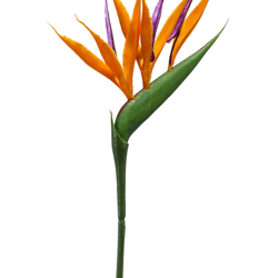 Zijden bloem "Strelitzia mini" oranje | 65cm