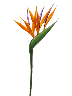 Zijden bloem "Strelitzia mini" oranje | 65cm