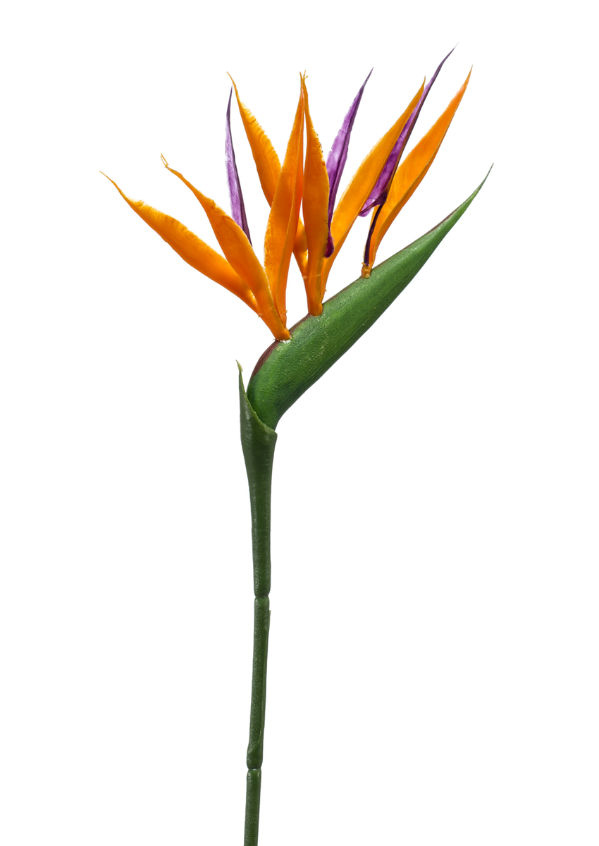 Zijden bloem "Strelitzia mini" oranje | 65cm