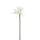 Zijden bloem "Gerbera spider RT" wit | 60cm