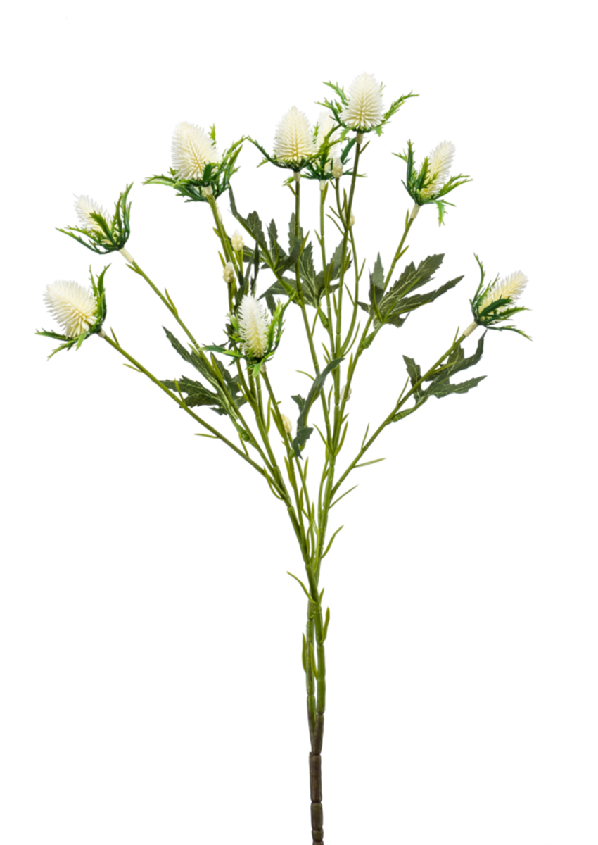 Zijden bloem "Eryngium" Spray x 2 Cream | 68 cm