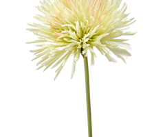 Zijden bloem "Chrysanthemum" lichtgroen | 58cm