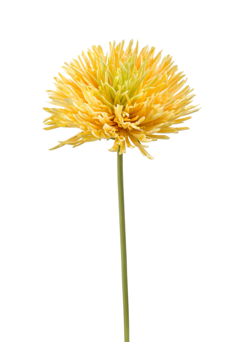 Zijden bloem "Chrysanthemum" geel | 58cm