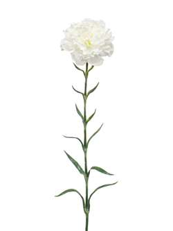 Zijden bloem "Dianthus" wit | 67cm