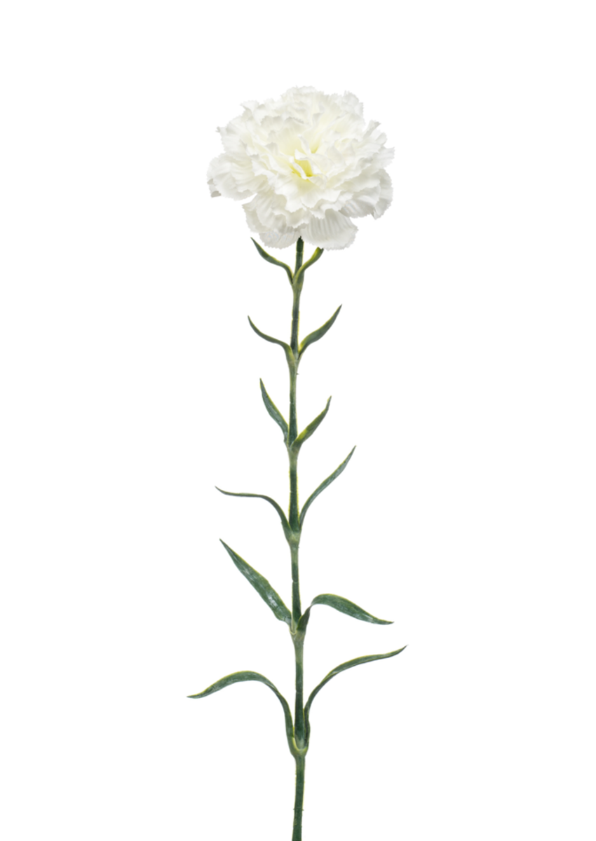 Zijden bloem "Dianthus" wit | 67cm