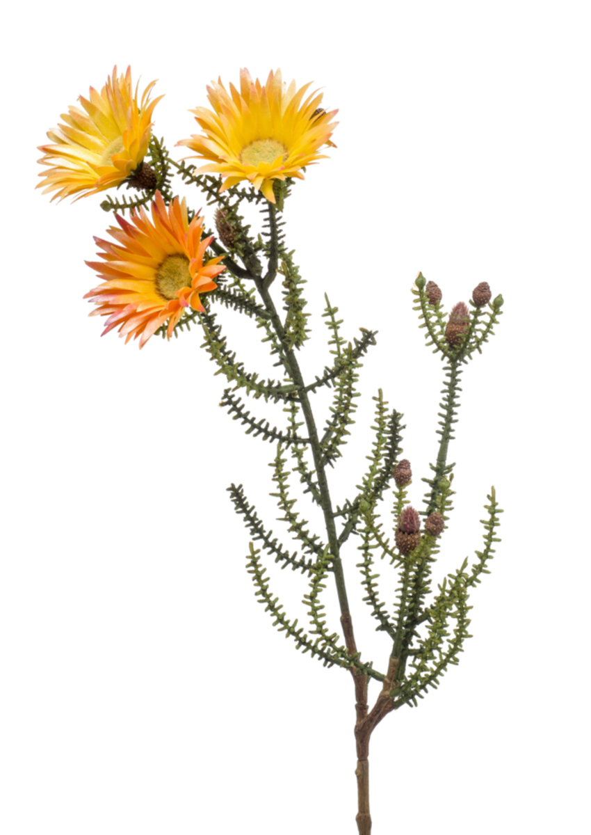 Zijden bloem "Phaenocoma" geel | 61cm