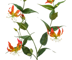 Zijden bloem "Gloriosa" oranje | 120cm