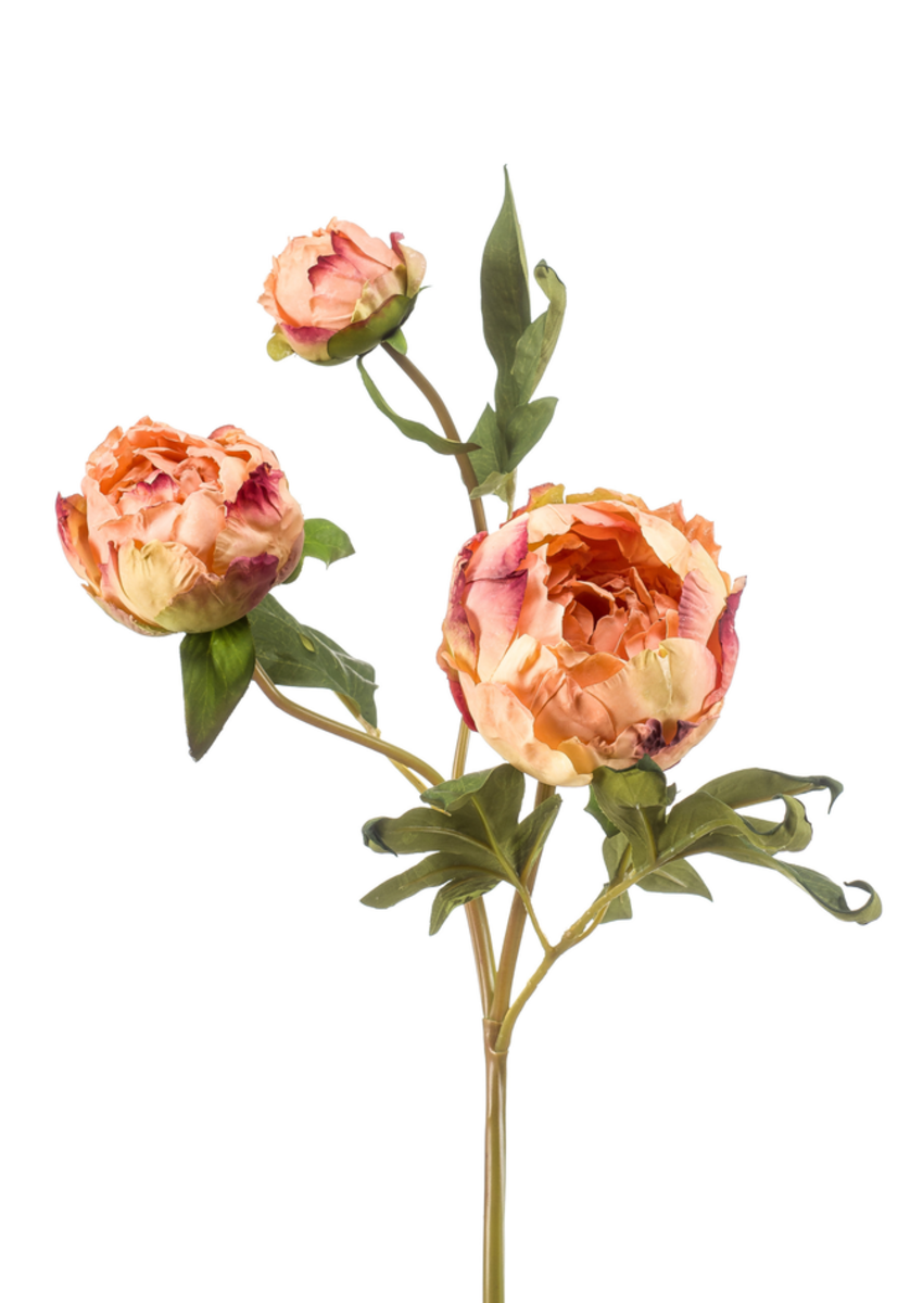 Zijden bloem "Peony" perzik (gedroogde look) | 62 cm