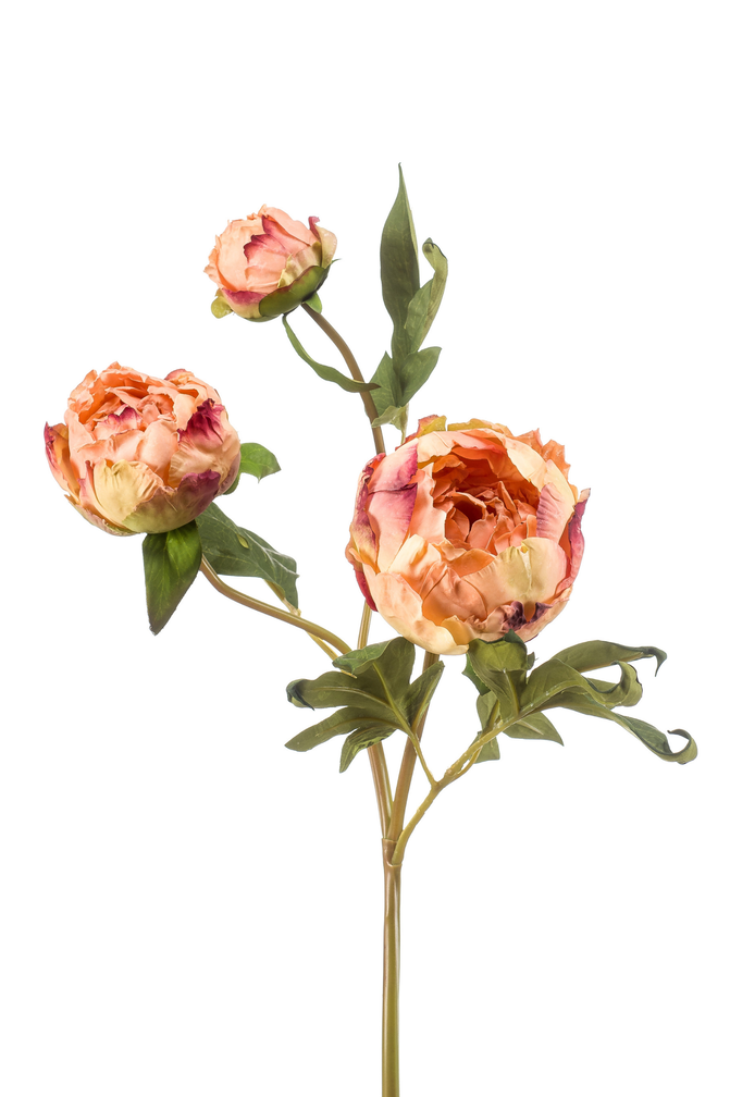 Zijden bloem "Peony" perzik (gedroogde look) | 62 cm