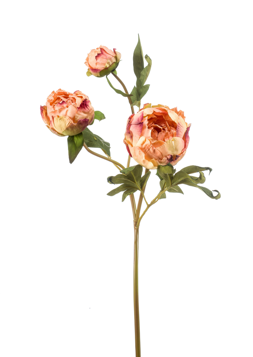Zijden bloem "Peony" perzik (gedroogde look) | 62 cm