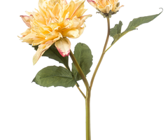 Zijden bloem "Dahlia" geel (gedroogde look) | 52cm