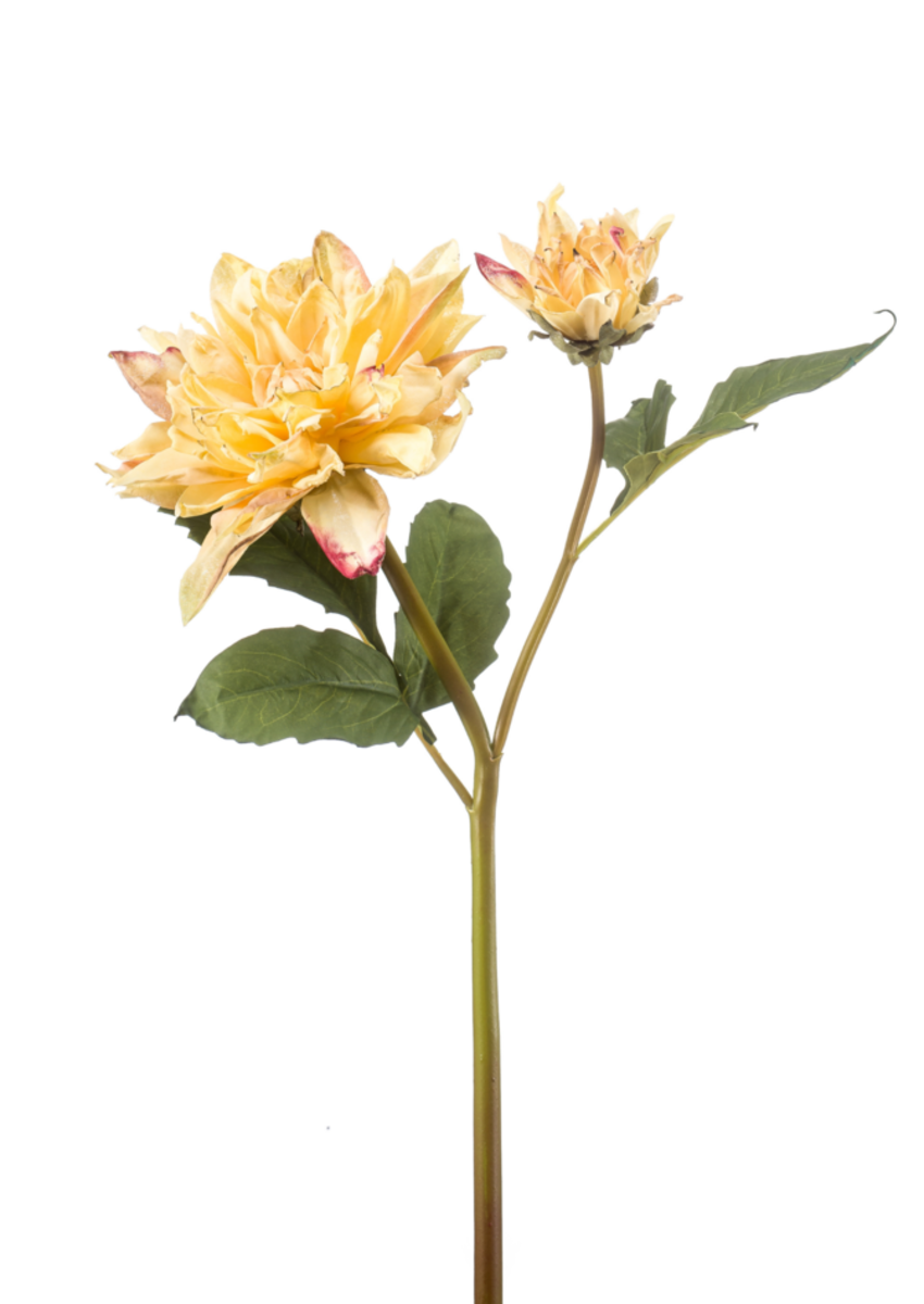 Zijden bloem "Dahlia" geel (gedroogde look) | 52cm
