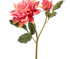 Zijden bloem "Dahlia" roze (gedroogde look) | 52cm