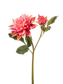 Zijden bloem "Dahlia" roze (gedroogde look) | 52cm