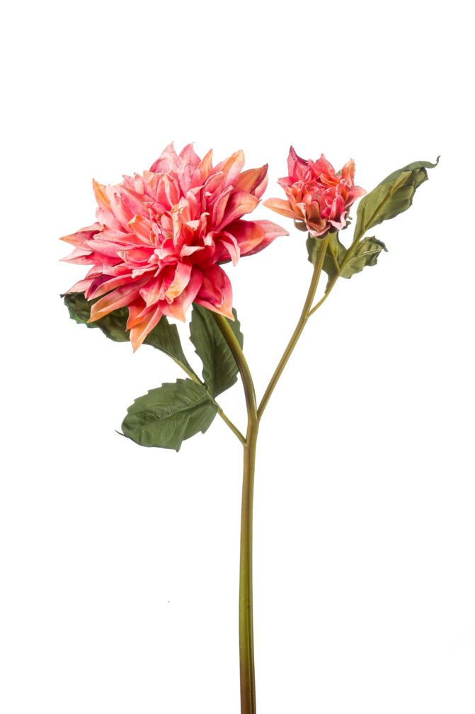 Zijden bloem "Dahlia" roze (gedroogde look) | 52cm